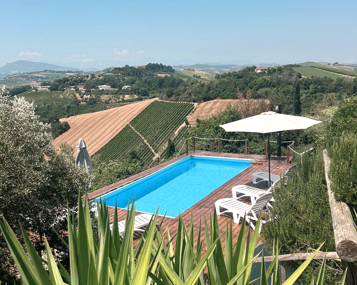 Der Infinity-Pool eingebettet im Grünen